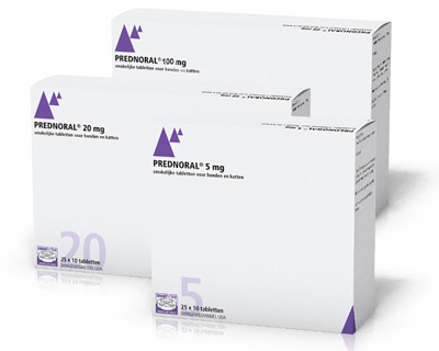 prednisolon bestellen Prednisolon bestellen