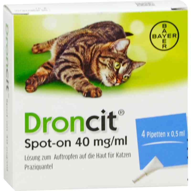 Prednisolon Katze Rezeptfrei prednisolon katze rezeptfrei