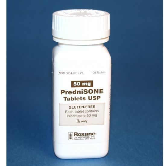 prednisolone 5mg für katzen Prednisolone 5mg Für Katzen