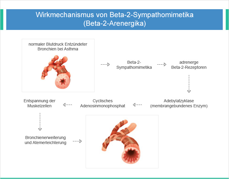 Salbutamol inhalationslösung rezeptfrei Salbutamol inhalationslösung rezeptfrei