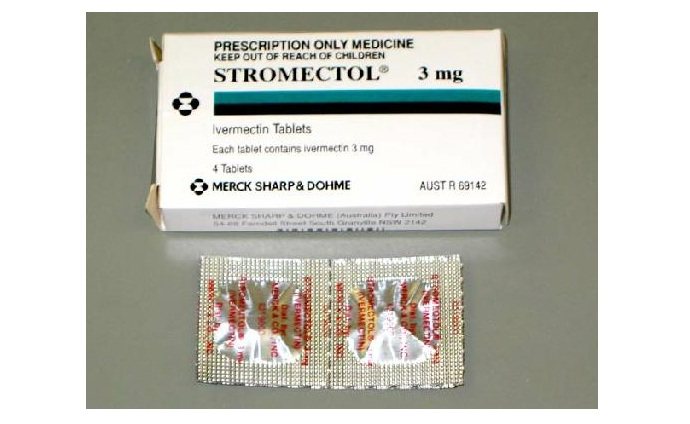 Stromectol 3 Mg Msd stromectol 3 mg msd