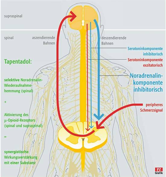 tapentadol tabletten tapentadol tabletten