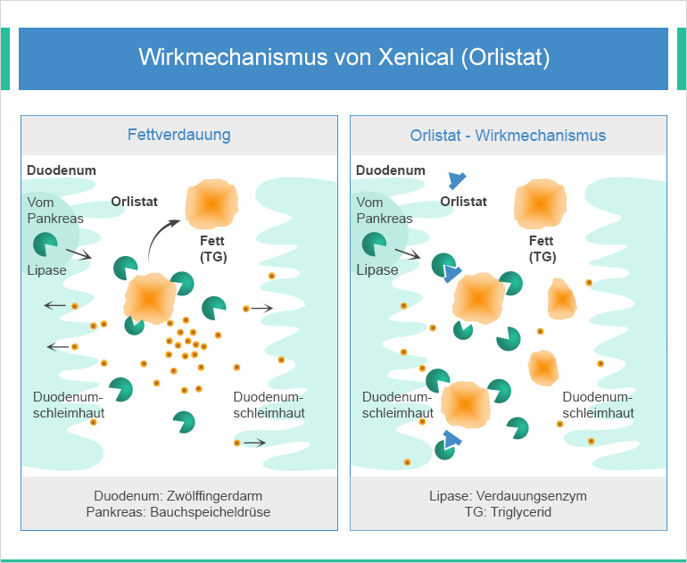 Xenical Im Ausland Kaufen xenical im ausland kaufen