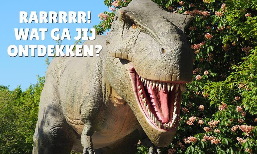 Dinoland, wat ga jij ontdekken?